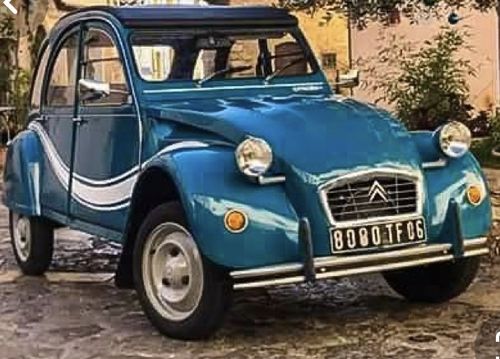 Customer photo review of BASKET COMBI VW VINTAGE