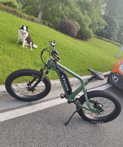 Customer photo review of VTUVIA SN100 750W 26'' Fat Tire 48V 13AH Electric Mountain Bike