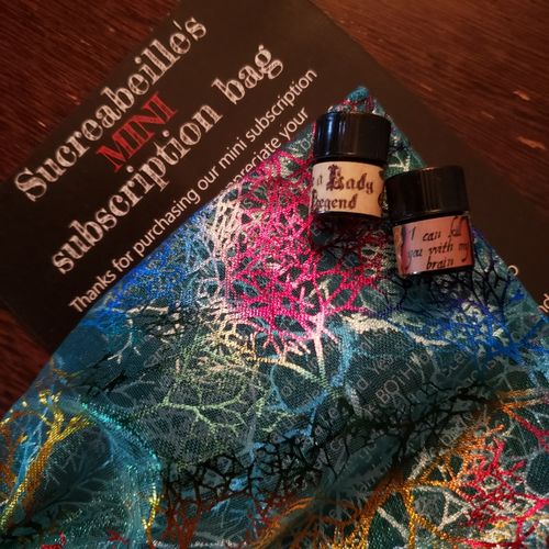 Customer photo review of Mini Subscription bag