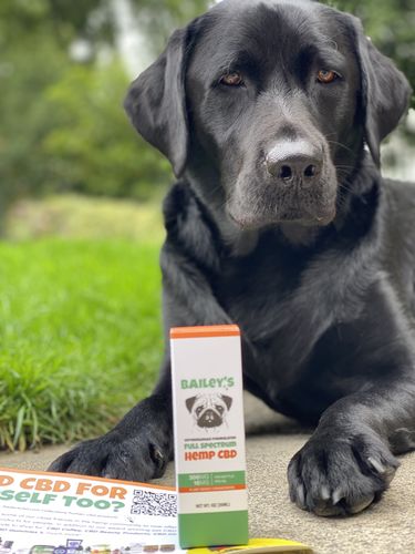 Customer photo review of Bailey's Full Spectrum Hemp Oil For Dogs w/ 300MG Naturally Occurring CBD