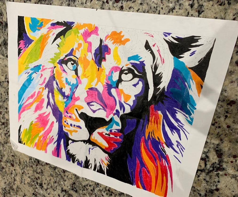 Customer photo review of FREE Paint By Numbers Kit