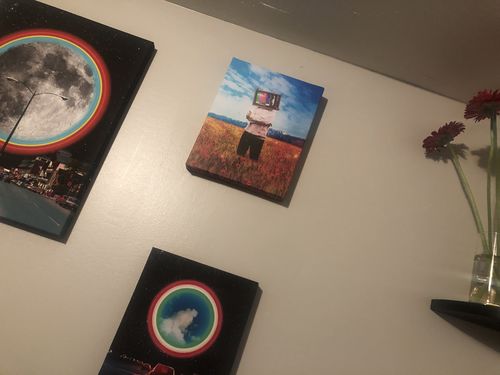 Customer photo review of Transmitter Interference Canvas Set