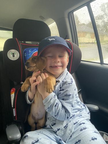 Customer photo review of Dachshund Cap