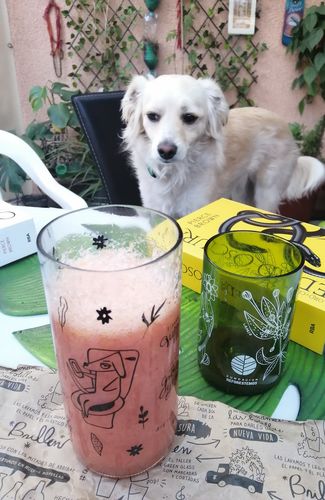Customer photo review of Pack 6 vasos Lindos Quiltros