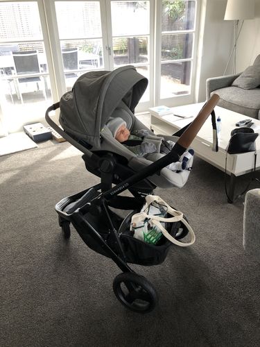 Customer photo review of Oscar Mx