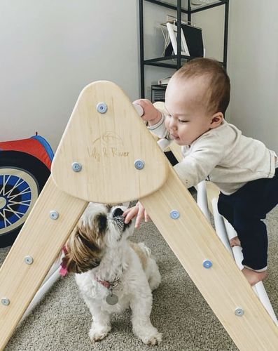 Customer photo review of Little Climber
