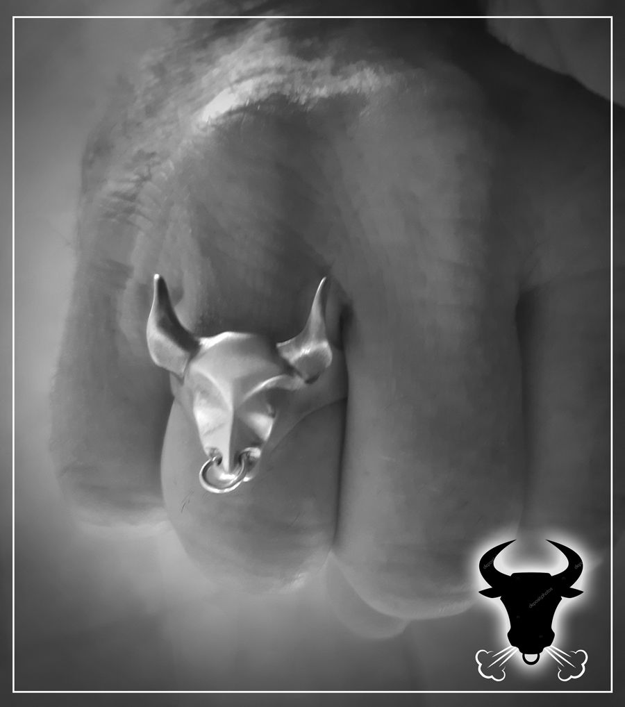 Customer photo review of Bull Ring