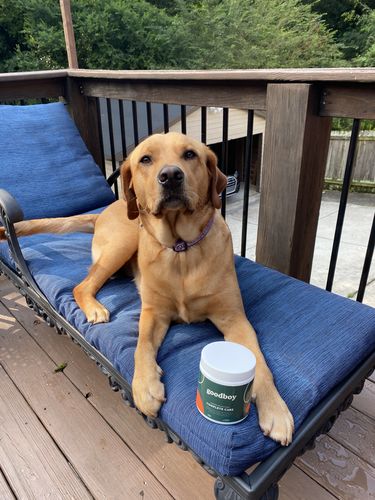 Customer photo review of Complete Care Formula