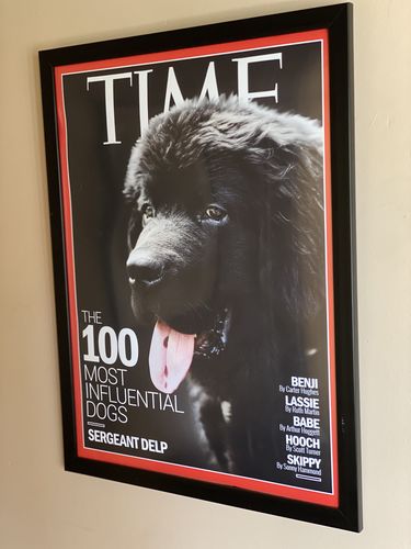 Customer photo review of Posing Pig Custom Print