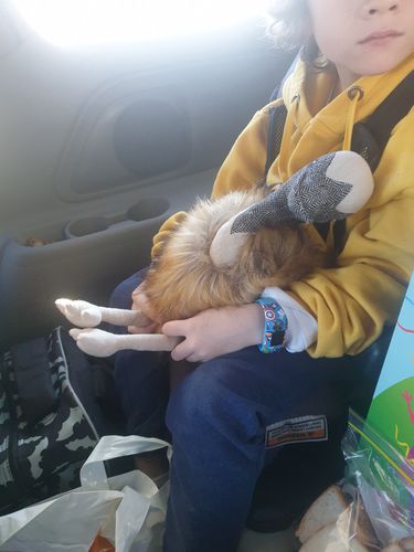 Customer photo review of Weighted Toys