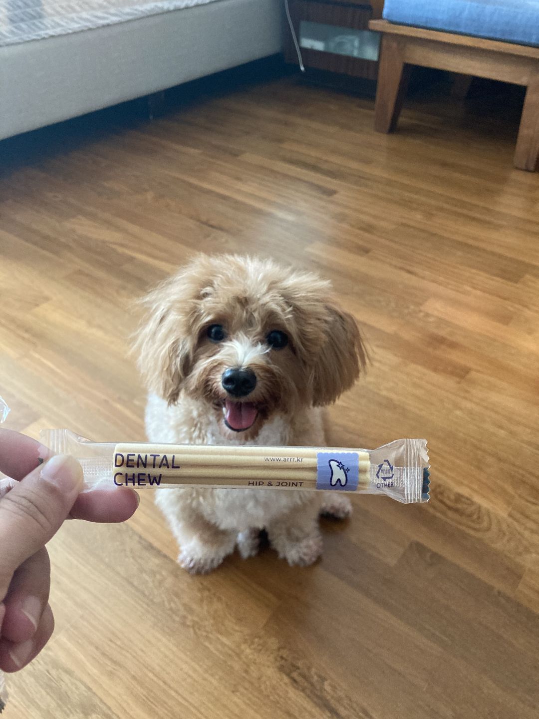 Customer photo review of arrr Dental Chew