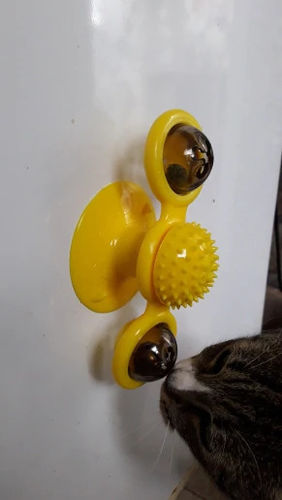 Customer photo review of Windmill Cat Toy 3-in-1