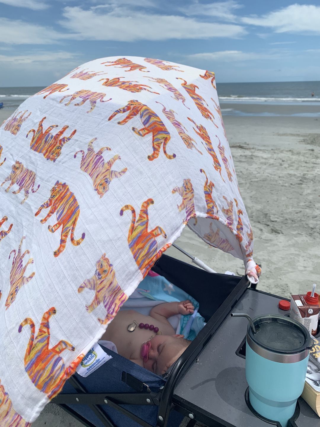 Customer photo review of Easy Tiger