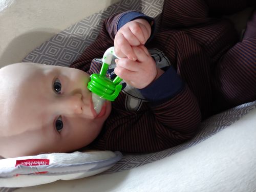 dreamy tots food pacifier