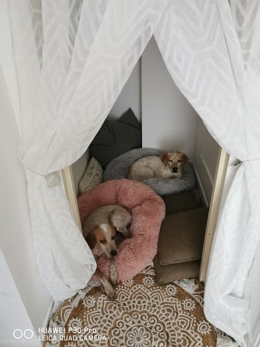 Customer photo review of Lit Apaisant Comfy® |  Pour Chien et Chat