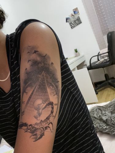 Customer photo review of Le roi scorpion