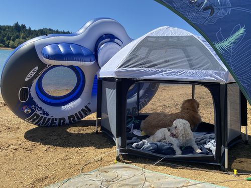 Customer photo review of Pop N' Go® Playpen