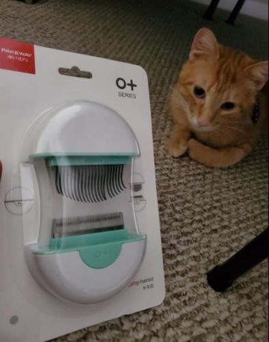 Customer photo review of Brosse ICAT® pour poils de chat | 2 en 1 | Nouveauté 2020
