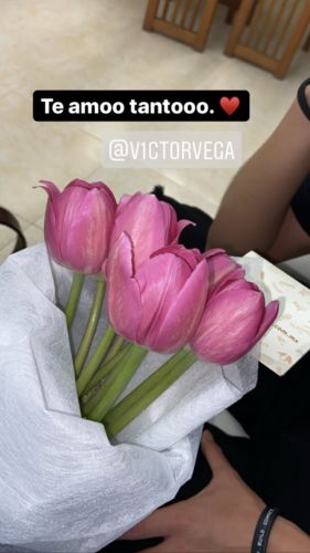 Customer photo review of Ramo de 10 Tulipanes Rosas