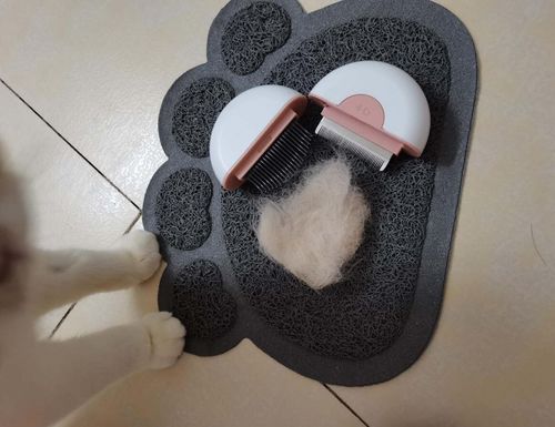 Customer photo review of Brosse ICAT® pour poils de chat | 2 en 1 | Nouveauté 2020