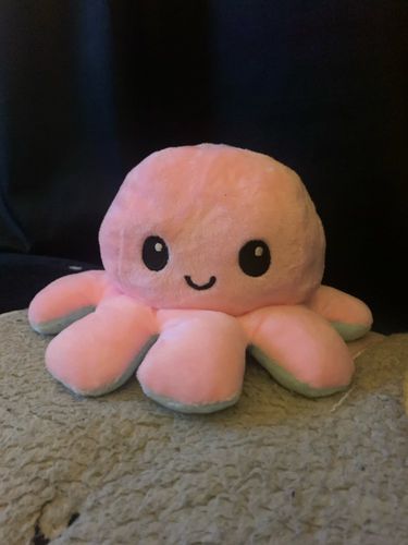 Customer photo review of Moody Octopus Plush
