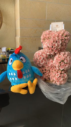Customer photo review of Oso de Rosas Rosa