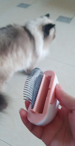 Customer photo review of Brosse ICAT® pour poils de chat | 2 en 1 | Nouveauté 2020