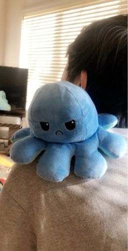 Customer photo review of Peluche octopus réversible