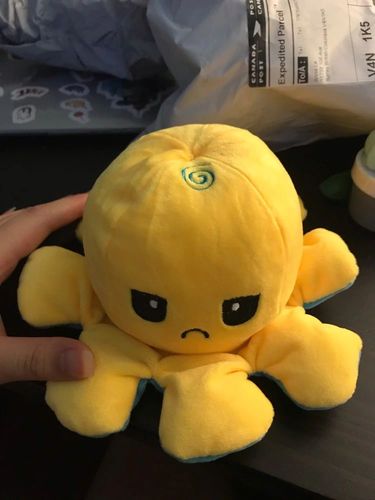 Customer photo review of Peluche octopus réversible