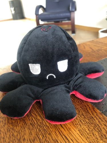 Customer photo review of Peluche octopus réversible