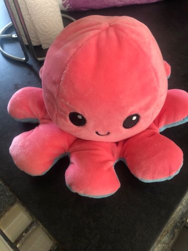 Customer photo review of Peluche octopus réversible
