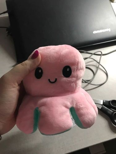 Customer photo review of Peluche octopus réversible