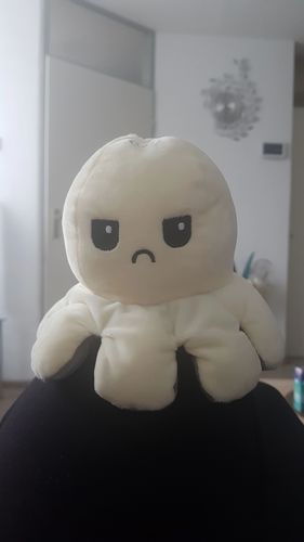 Customer photo review of Peluche octopus réversible