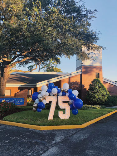 Customer photo review of Create Your Own Color Mix - DIY Balloon Garland Kit