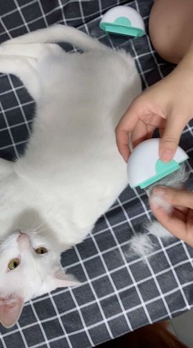 Customer photo review of Brosse ICAT® pour poils de chat | 2 en 1 | Nouveauté 2020