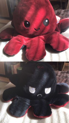 Customer photo review of Peluche octopus réversible