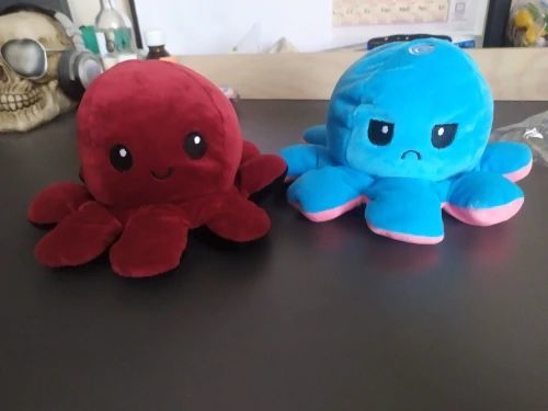 Customer photo review of Peluche octopus réversible