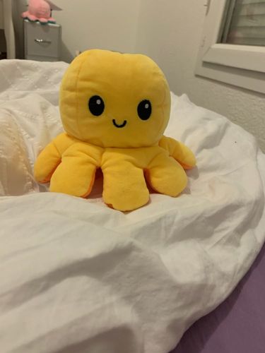 Customer photo review of Peluche octopus réversible