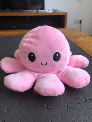 Customer photo review of Peluche octopus réversible