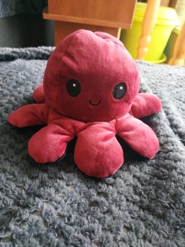 Customer photo review of Peluche octopus réversible