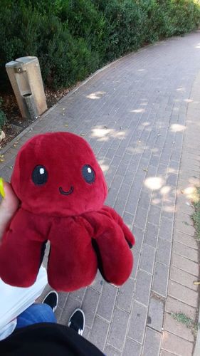 Customer photo review of Peluche octopus réversible
