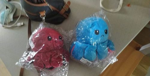 Customer photo review of Peluche octopus réversible