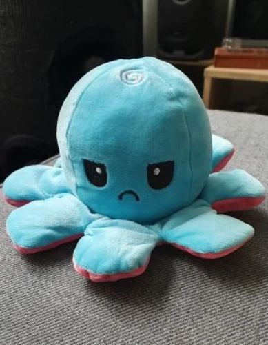 Customer photo review of Peluche octopus réversible