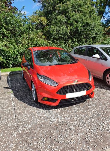 Customer photo review of Fiesta ST180 Fog Light Armour
