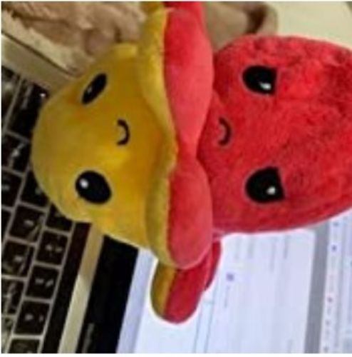 Customer photo review of Peluche octopus réversible
