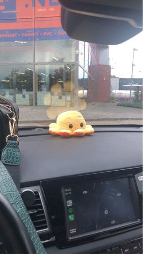 Customer photo review of Peluche octopus réversible