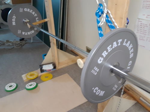 Customer photo review of 5KG/11LBS  pair of high quality bumper plates