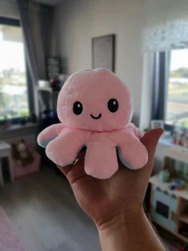 Customer photo review of Peluche octopus réversible