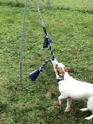 tether tug installation