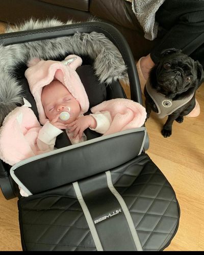 Customer photo review of CAR SEAT + ISOFIX BASE PACKAGE